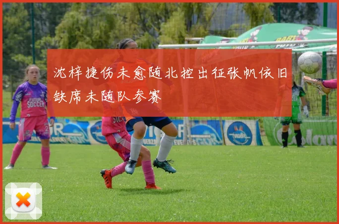 沈梓捷伤未愈随北控出征张帆依旧缺席未随队参赛